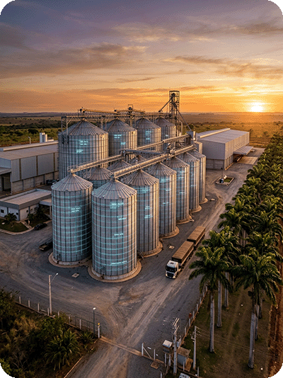 Silos de armazenagem de grãos ao pôr do sol